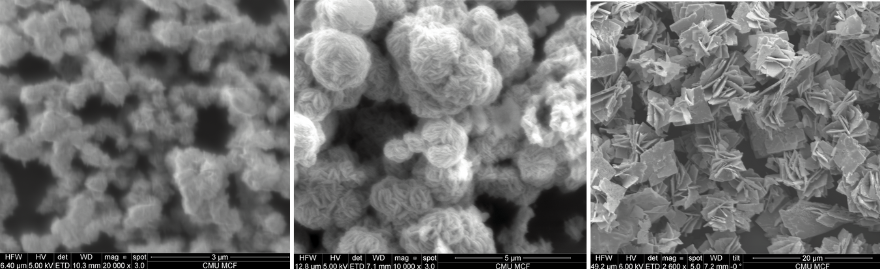 Three black and white SEM images