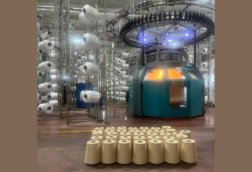 Machinery with raw fiber cones